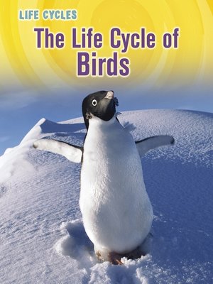 cover image of The Life Cycle of Birds